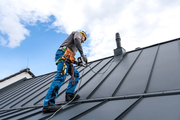 Best Sheet Metal Roofing  in Shafter, CA
